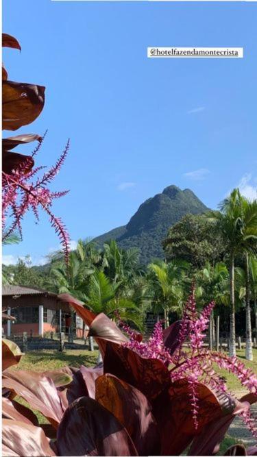 Hotel Fazenda Monte Crista Rio Bonito  Exteriör bild